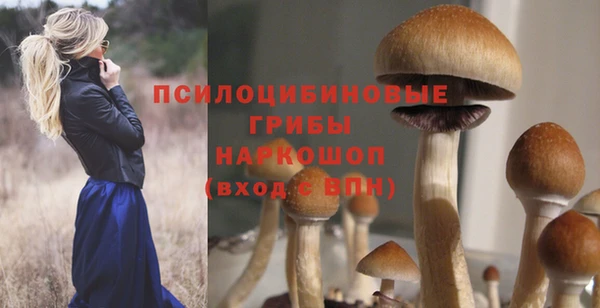 каннабис Баксан
