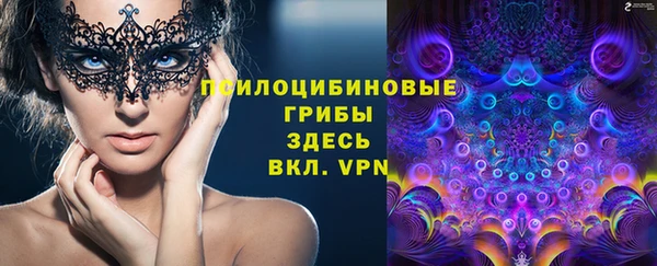 прущая мука Арсеньев