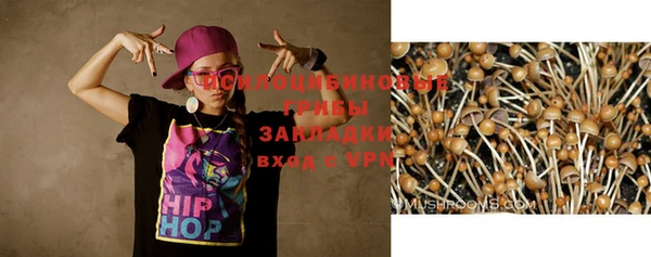сатива Балабаново