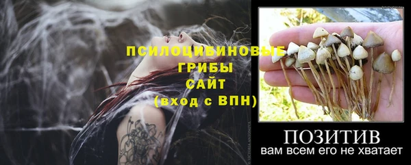 прущая мука Арсеньев