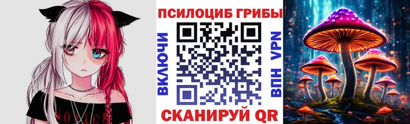 Галлюциногенные грибы Cubensis Дно
