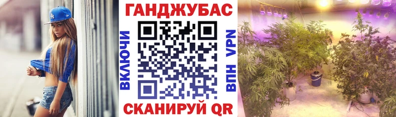Шишки марихуана THC 21% наркошоп Дно